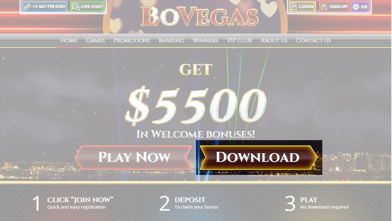 BoVegas Download Software